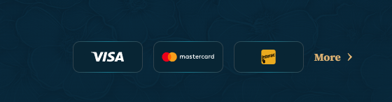 betalice payment methods